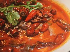 -辛香汇·现炒川菜(淮海路百盛店)