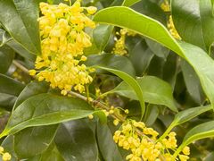 -漕河泾开发区(地铁站)