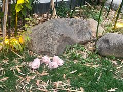 -不倒翁·徽天下名菜楼(马鞍山路店)