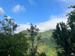 -梧桐山风景名胜区