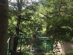 -安吉龙王山峡谷漂流