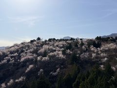 -白水寺森林公园
