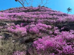 -青岛大珠山景区