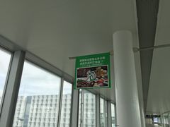 -中部国际机场