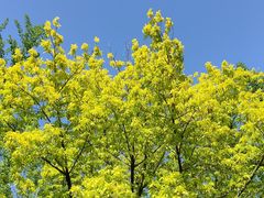 -国家植物园南园