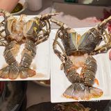 冬瓜盅配小青龙🦞吃个不一样的养生局