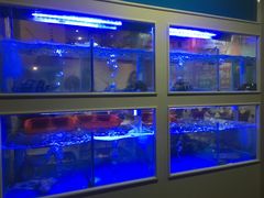 -小龍鳳·港式海鲜打边炉(沙湖路店)