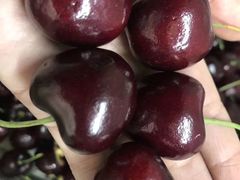 -鲜力达果品批发直销(青山店)