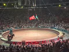 -俄罗斯国家大马戏团