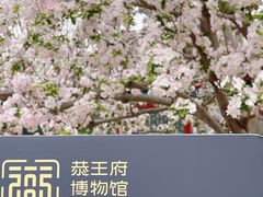 -恭王府博物馆