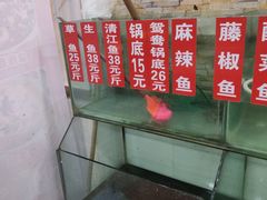 水产区-武记碳锅鱼大盘鸡(杜岭街店)