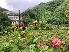 -黄山翡翠谷景区