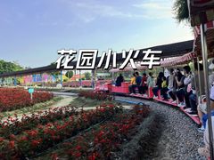 -广东花都香草世界旅游度假区
