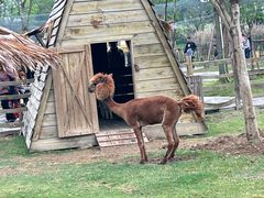 -祥源·阜阳生态乐园