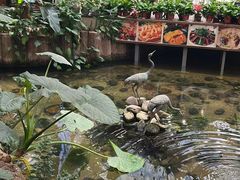 -九尊食上(生态园林酒店)