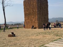 -良渚古城遗址公园