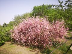 -长春公园(普阳街道)