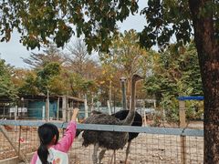 -新塘水果乐园(东洲大道店)