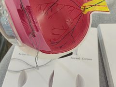 -武汉大学附属爱尔眼科医院(湖北总院)