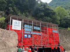 -雅鲁激流探险漂流