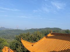 -深圳仙湖植物园