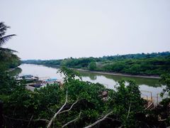 -东寨港红树林旅游区