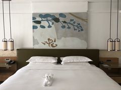 -三亚海棠湾万丽度假酒店