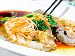 多宝鱼清蒸-威海渔村(静安旗舰店)