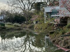 -东湖生态旅游风景区