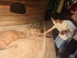 -Zoolung Zoolung动物主题公园(海信广场店)