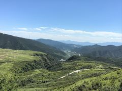 -空中草原