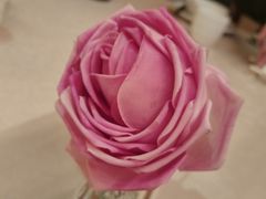 -耶里夏丽·新疆菜(南丹东路店)