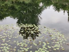 -金银湖国家城市湿地公园