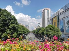 -南宁南湖公园