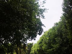 -梁鸿国家湿地公园