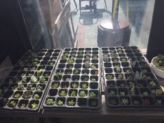 -北马山庄植趣咖啡