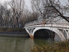 -大兴滨河森林公园
