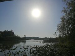 -杏花村文化旅游区