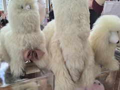 -朵云书院(滴水湖店)