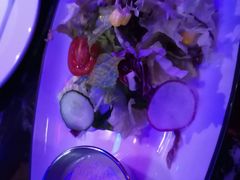 -MOSSO德国餐厅·音乐酒吧(环宇荟店)