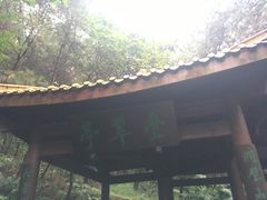 -铁山坪森林公园