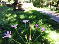 -北京上方山国家森林公园