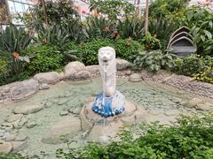 -南宫五洲植物乐园