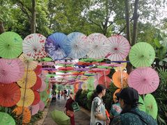 -广西壮族自治区药用植物园