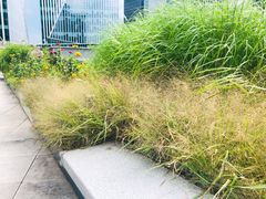 -华东理工大学徐汇校区-图书馆