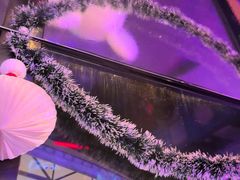 -移动谜城·大笨象密室逃脱(五棵松店)