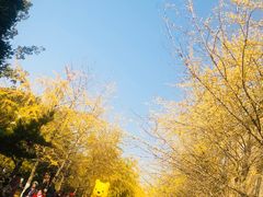-辽宁大学(崇山校区)