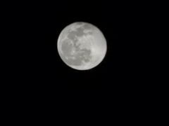 -三个先森的韩国炸鸡(中北店)