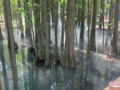 -东湖落雁景区