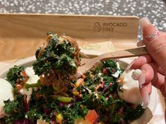 -油梨树AVOCADO TREE(嘉里中心店)